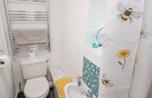 Toadstools - Foto 16