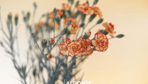 Casa da Melanie - Foto 5