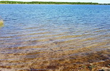 Ferienwohnung-Kormann - Foto 41