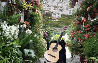 Casas la Vista B - Foto 13