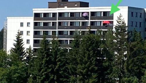 Ferienwohnung Schwarzwald Oase Kniebis - Foto 2