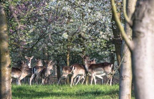 Agriturismo I Leprotti - Photo 47