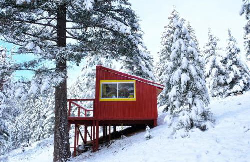 The Ranch Hand Cabin at The Hohnstead - Foto 9