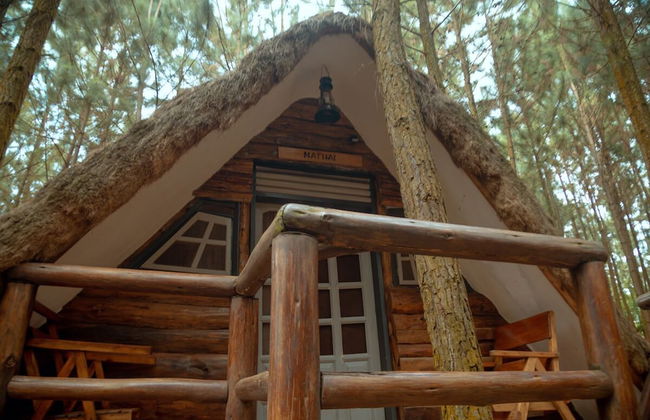 Nyungu Yamawe Forest Park - Foto 7