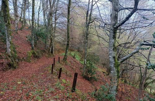 La cabaña mirador de los Valles Pasiegos - Foto 66