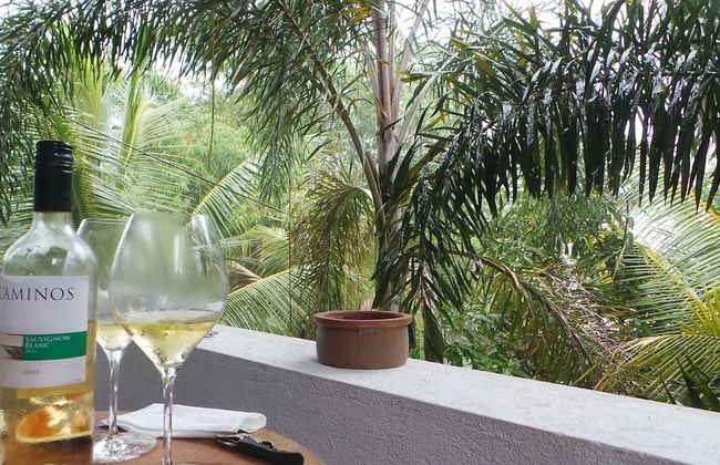 Luxury Villa Costanza - Photo 39