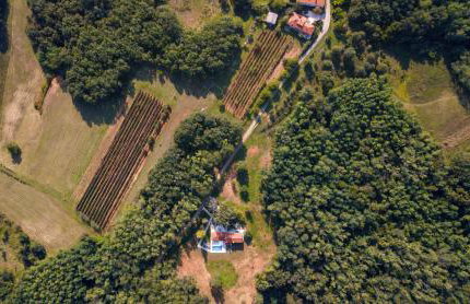 Villa Stepančić - large garden and heated pool - Foto 48