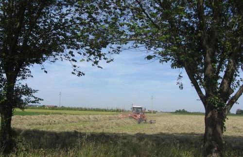 Agriturismo Ravaglia Grande - Photo 59