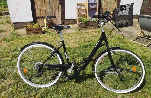 Sielanka Aleksandria - Foto 38