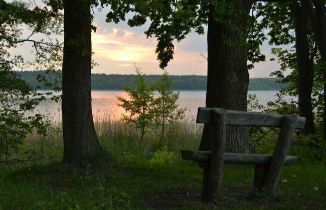 Holiday Home Vogelsang - Foto 22