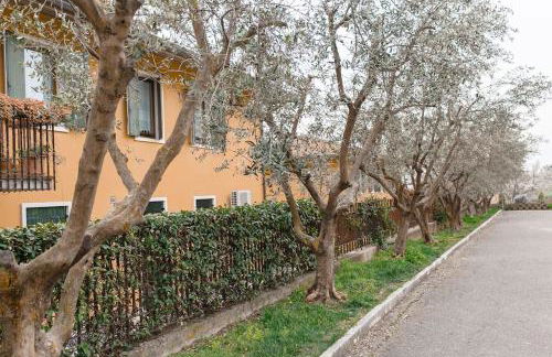 APARTMENTS VALPOLICELLA: RESIDENZA OLIVO - Photo 46