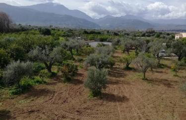 κτήμα ΝΟΣΤΟΣ - Photo 33