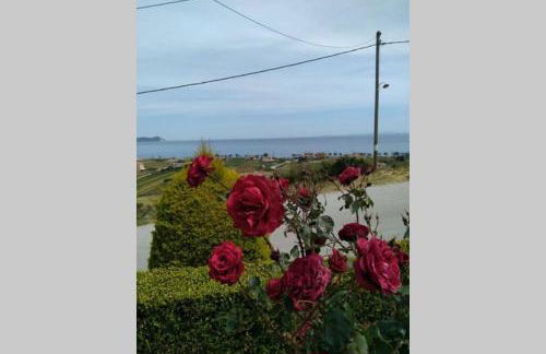 villa roses-mourteri - Foto 12