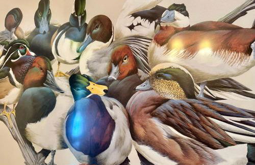 The Dapper Duck Log Cabin - Foto 15