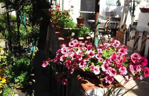 Le Mimose - Photo 50