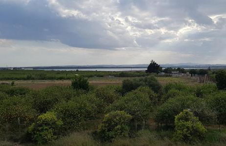 El Mirador de la Laguna - Foto 43