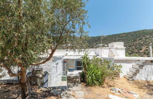 Andros Traditional House - Foto 28