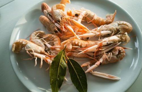 Gîte ti Goudoul éco responsable BB friendly - Foto 38