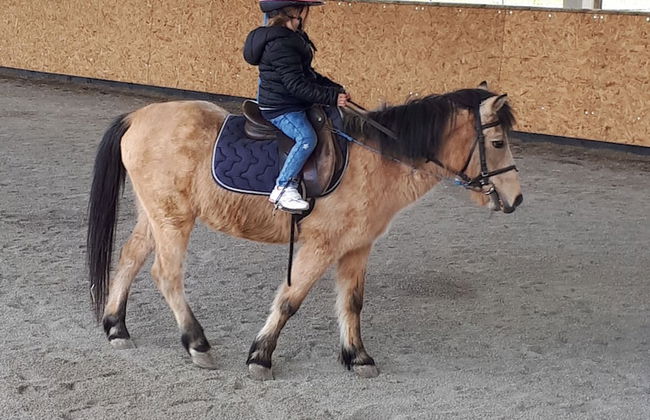 Poggiovalle Tenuta Italiana - Foto 27