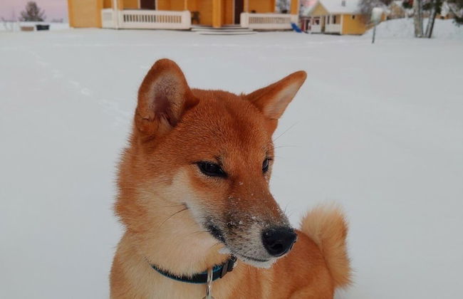 Atlantis Village - Foto 45