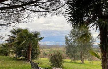 Mon Hacienda - Foto 6