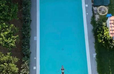 Lemon Gold - Foto 27