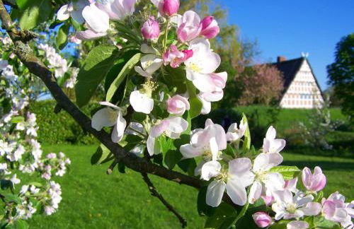 Fewo Lüheblick im Haus Lühegarten - Photo 30