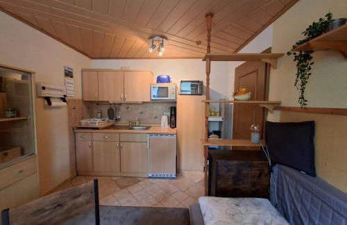 ansimali 2 - Apartment mit Wohn- und Schlafraum, integrierter Küchenzeile, separater Dusche und WC - ideal für Alleinreisende und Monteure am Spiegelwald - Foto 3