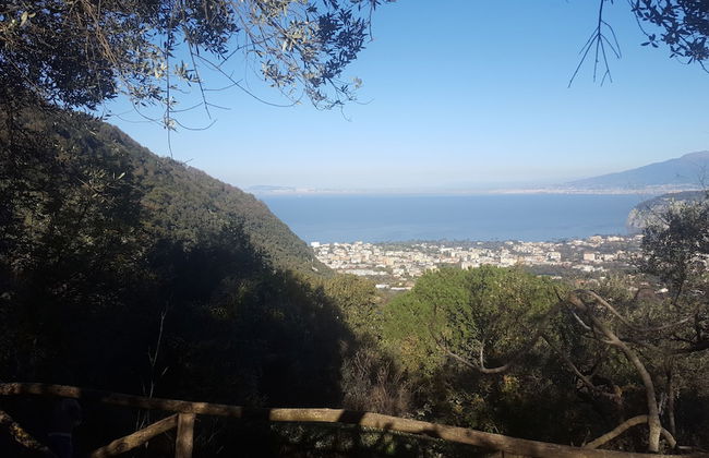 Gli Ulivi Agriturismo - Foto 79