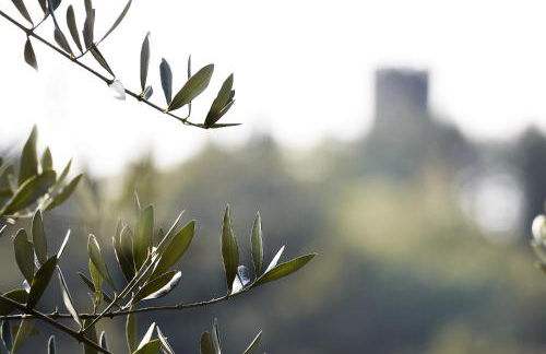 Agriturismo Conca Sandra - Farm Stay on Lake Como - Foto 53