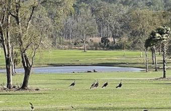 A Pearl Hidden Between Farms - Foto 19