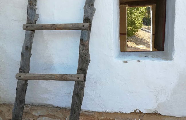 Visita guiada pela Moleta del Remei - Foto 5