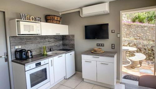 Condrieu, le Châtillon au cœur du vignoble belle vue sur vallée du Rhône - Foto 4