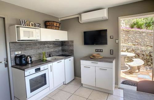 Condrieu, le Châtillon au cœur du vignoble belle vue sur vallée du Rhône - Foto 4