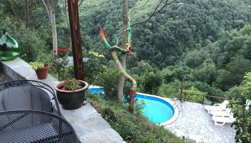 Fraseneggi - Foto 3, Garden