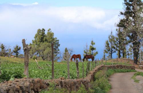 Falcon Crest - Photo 36