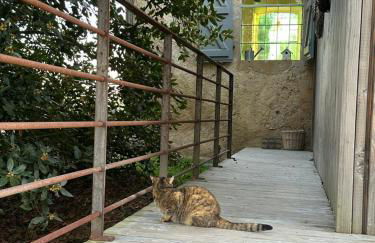 Chapelle Blóm - Photo 12