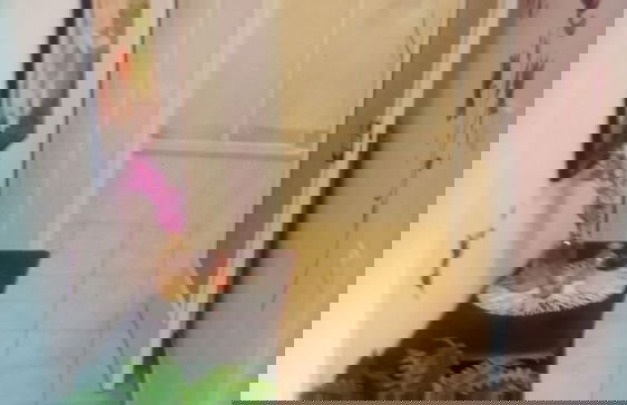 Casa Sara Holiday Home - Foto 14