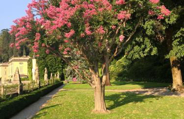 Terrazza Torno - Foto 39