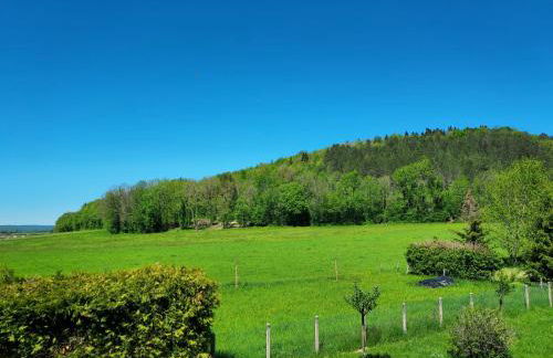 Maison bien être avec sauna - Gîte les 4 saisons - Lac de chalain - Foto 13