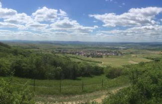 Ferienwohnungen In de goldisch Luft - Foto 17