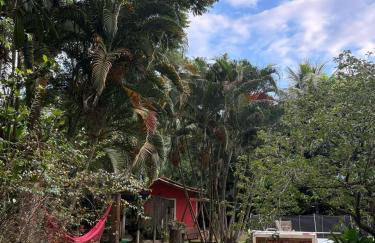 Sítio Espatódea - Foto 58