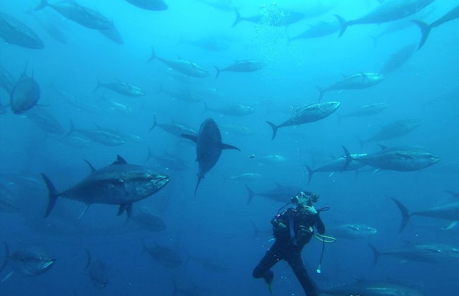 Bungalow Cala Llobeta 16 - Foto 10