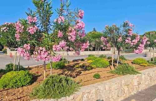 AURORA apartment - 70 m from the sea - Foto 15