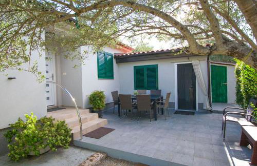 House Pansy - Foto 25