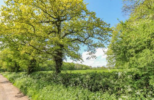 Acorn Lodge - Foto 34