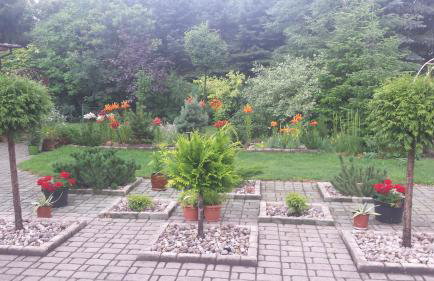 Apartament Leśna - Foto 23