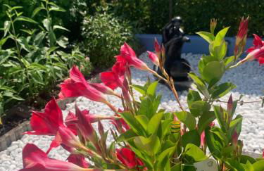 Gästehaus Am Radweg - Foto 23