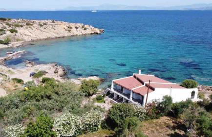 BLE, Oneiropagida, Aegina - Foto 30