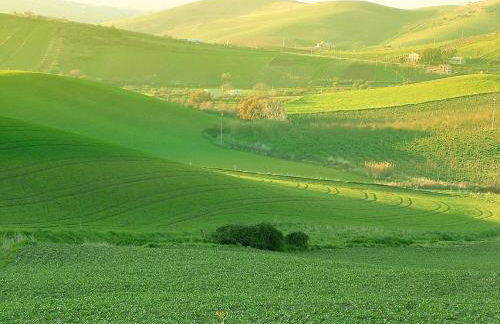 Ridocco Agriturismo - Foto 29